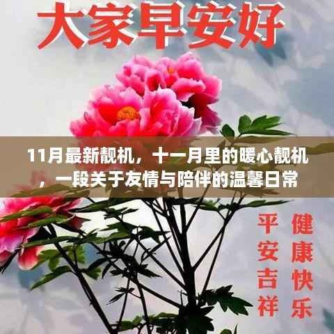 十一月暖心靓机,友情与陪伴的温馨日常
