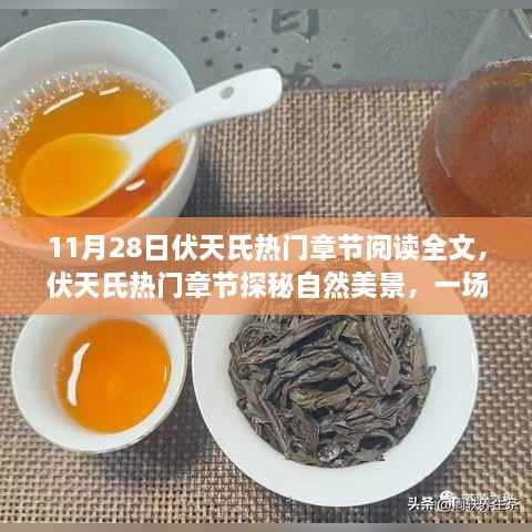 伏天氏热门章节探秘自然美景,寻找内心平静的奇妙旅行