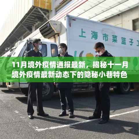 揭秘十一月境外疫情最新动态,隐秘小巷特色小店观察报告