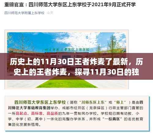探寻王者炸麦,历史上的王者印记与深远影响——聚焦11月30日事件最新动态