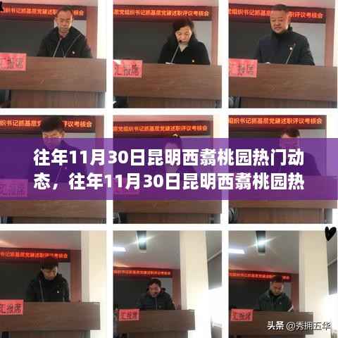 昆明西翥桃园历年11月30日热门动态回顾