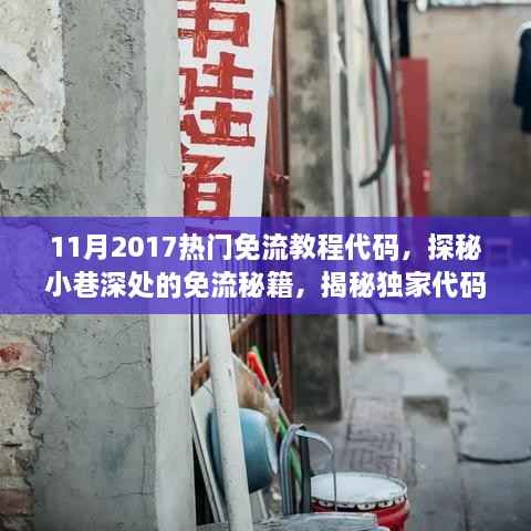 揭秘独家秘籍,2017年11月热门免流教程代码与隐藏特色小店探秘之旅