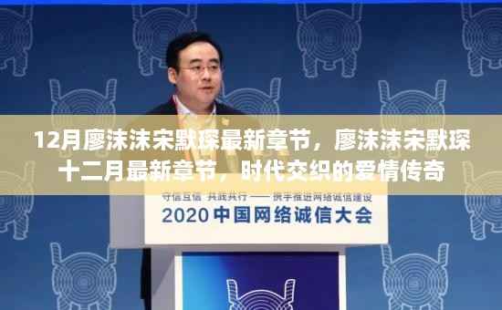 时代交织的爱情传奇,廖沫沫与宋默琛的十二月最新章节