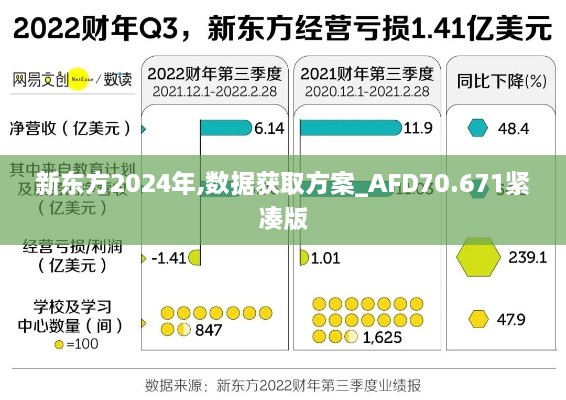 新东方2024年,数据获取方案_AFD70.671紧凑版