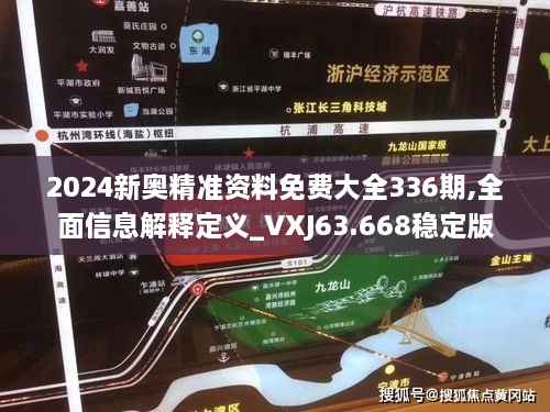 2024新奥精准资料免费大全336期,全面信息解释定义_VXJ63.668稳定版