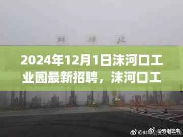 沫河口工业园2024年最新招聘启事,职业发展的理想选择