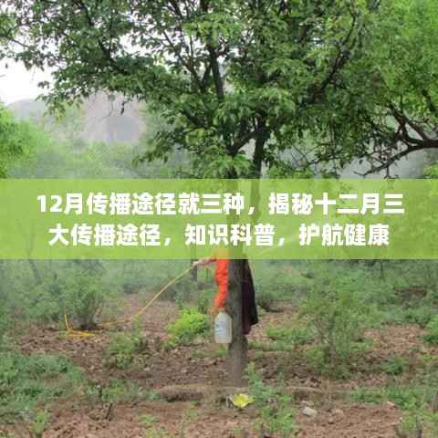 揭秘十二月三大传播途径,知识科普助你护航健康