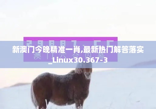 新澳门今晚精准一肖,最新热门解答落实_Linux30.367-3