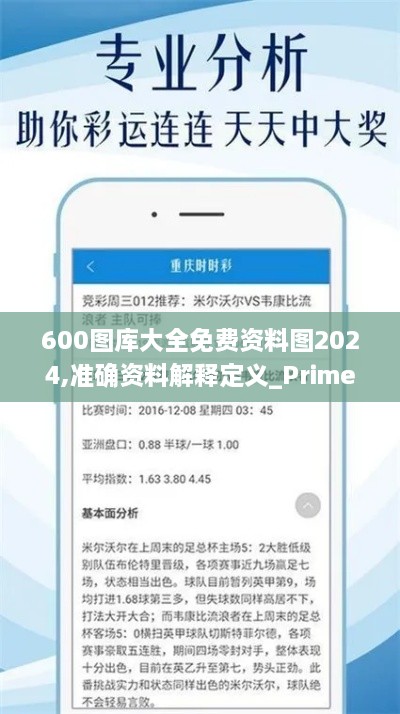 600图库大全免费资料图2024,准确资料解释定义_Prime86.112-5