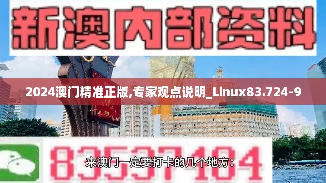 2024澳门精准正版,专家观点说明_Linux83.724-9
