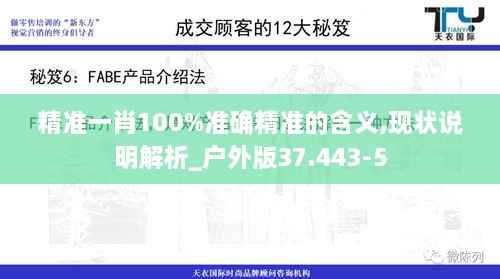 精准一肖100%准确精准的含义,现状说明解析_户外版37.443-5