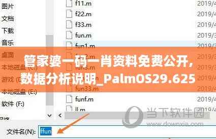 管家婆一码一肖资料免费公开,数据分析说明_PalmOS29.625-6