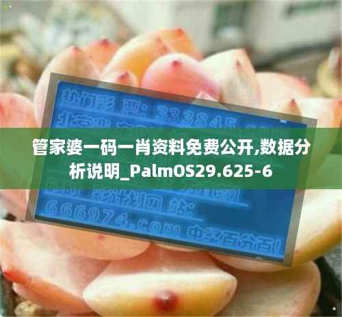 管家婆一码一肖资料免费公开,数据分析说明_PalmOS29.625-6