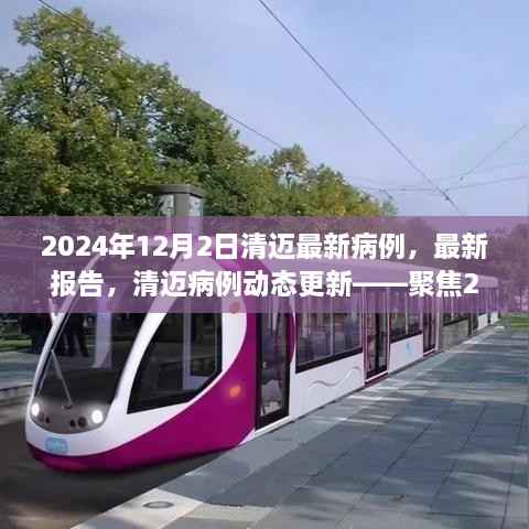 聚焦清迈,最新病例动态分析与报告观察——2024年12月2日更新
