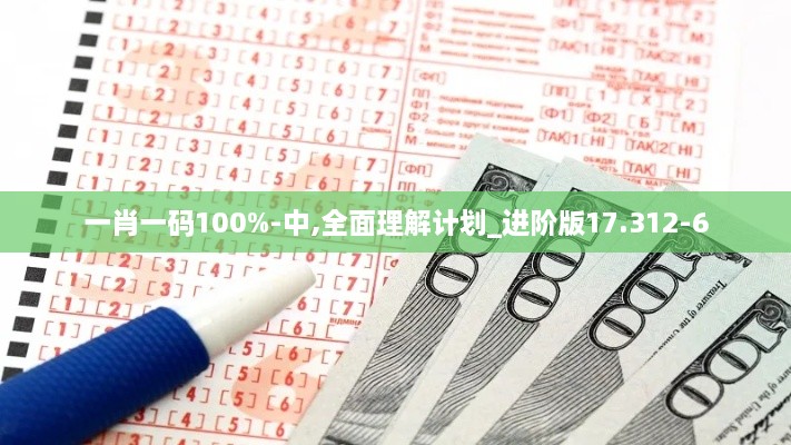 一肖一码100%-中,全面理解计划_进阶版17.312-6