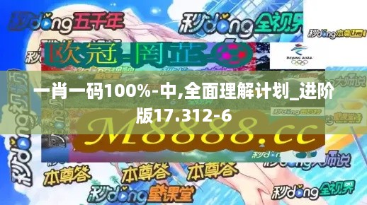 一肖一码100%-中,全面理解计划_进阶版17.312-6