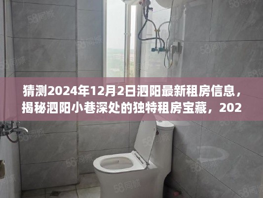 揭秘泗阳小巷深处的独特宝藏,最新租房信息之旅(预测2024年12月2日)