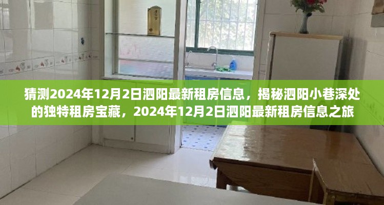 揭秘泗阳小巷深处的独特宝藏,最新租房信息之旅(预测2024年12月2日)