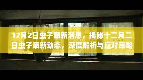 揭秘十二月二日虫子最新动态,深度解析与应对策略发布