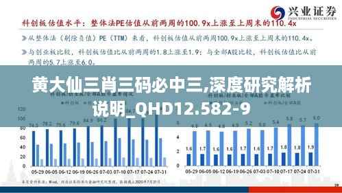 黄大仙三肖三码必中三,深度研究解析说明_QHD12.582-9