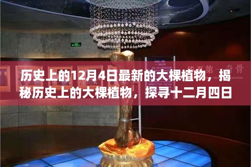 行业资讯 第415页