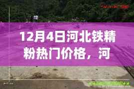 探寻河北铁精粉热门价格,小巷隐秘之宝