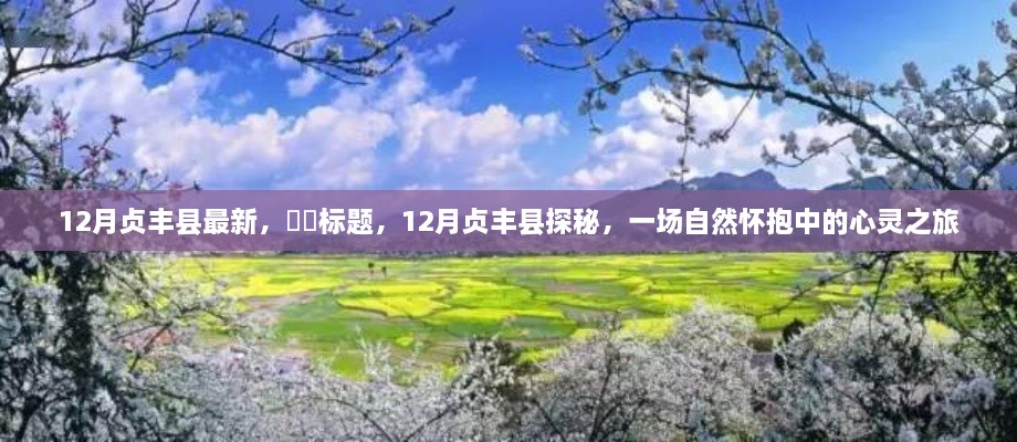 12月贞丰县探秘之旅,自然怀抱中的心灵之旅新发现