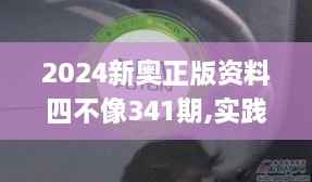 2024新奥正版资料四不像341期,实践性策略实施_特供版7.301