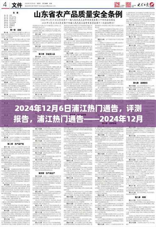 浦江热门通告深度评测报告,产品解析与深度解析(2024年12月6日版)