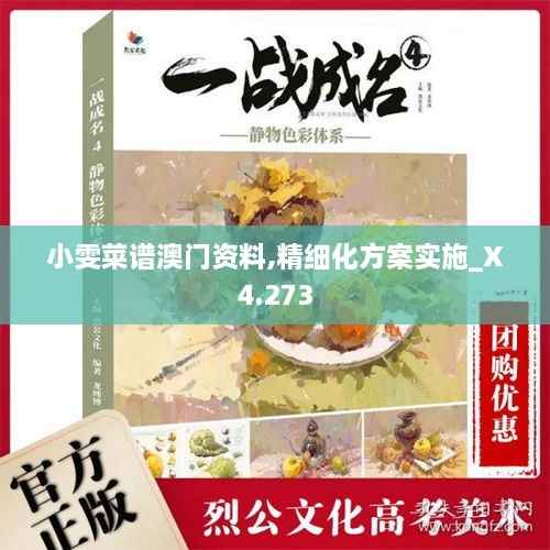 小雯菜谱澳门资料,精细化方案实施_X4.273