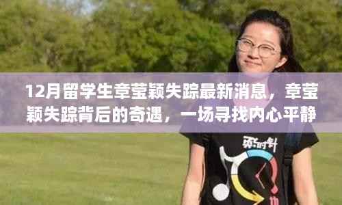 章莹颖失踪最新消息,十二月寻找内心平静的旅程中的奇遇
