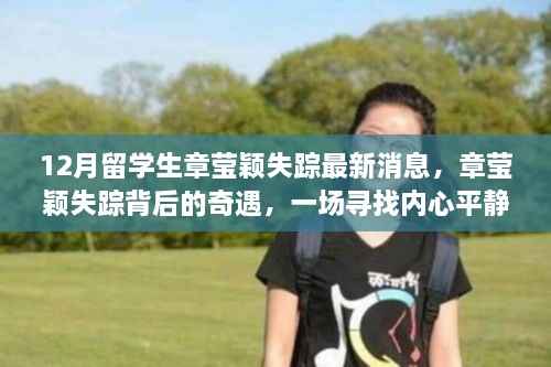 章莹颖失踪最新消息,十二月寻找内心平静的旅程中的奇遇