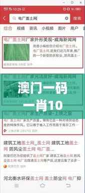 澳门一码一肖100%精准一,灵活操作方案设计_移动版11.836