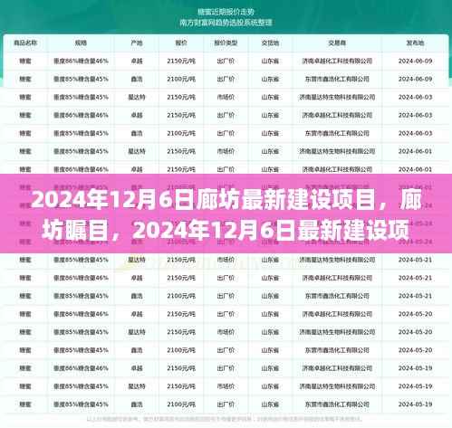 揭秘廊坊最新建设项目,廊坊瞩目,2024年12月6日最新建设进展揭晓