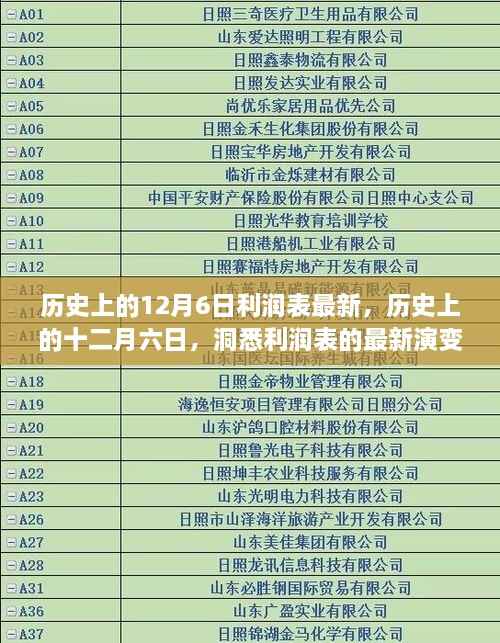 历史上的十二月六日,深度解析利润表最新演变与最新数据揭秘