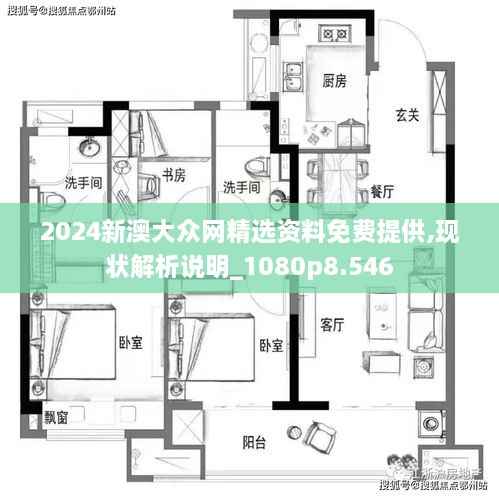 2024新澳大众网精选资料免费提供,现状解析说明_1080p8.546