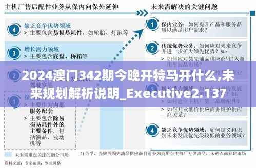 2024澳门342期今晚开特马开什么,未来规划解析说明_Executive2.137