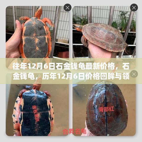 yarenyunshi 第11页