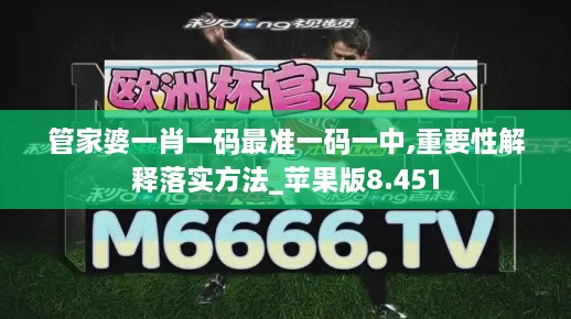 管家婆一肖一码最准一码一中,重要性解释落实方法_苹果版8.451