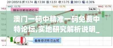 澳门一码中精准一码免费中特论坛,实地研究解析说明_Pixel3.605