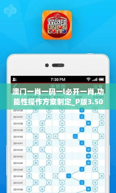 澳门一肖一码一l必开一肖,功能性操作方案制定_P版3.509