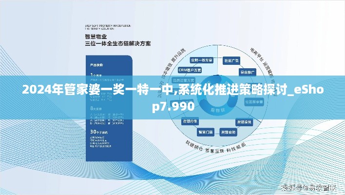 2024年管家婆一奖一特一中,系统化推进策略探讨_eShop7.990