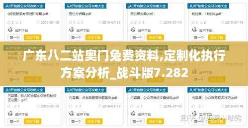 广东八二站奥门兔费资料,定制化执行方案分析_战斗版7.282