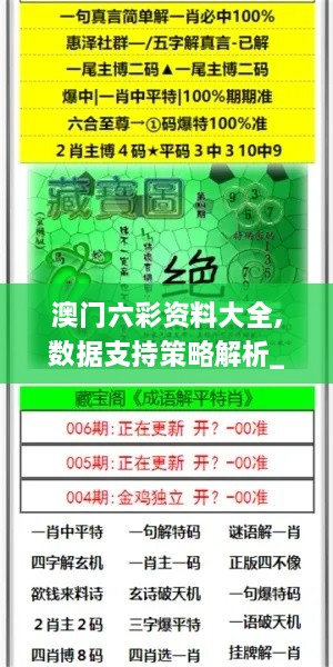 澳门六彩资料大全,数据支持策略解析_标准版2.820