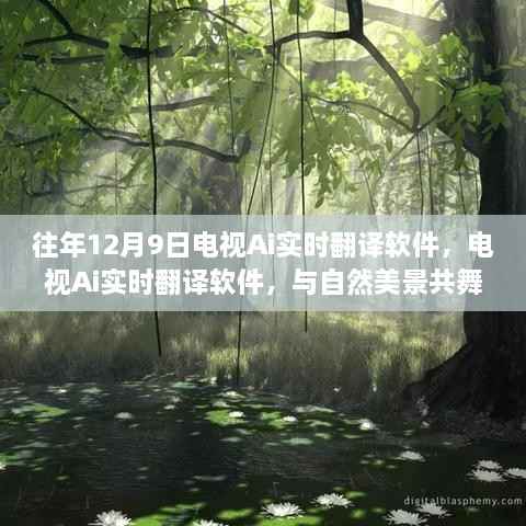 电视Ai实时翻译软件,与自然美景共舞的心灵宁静之旅