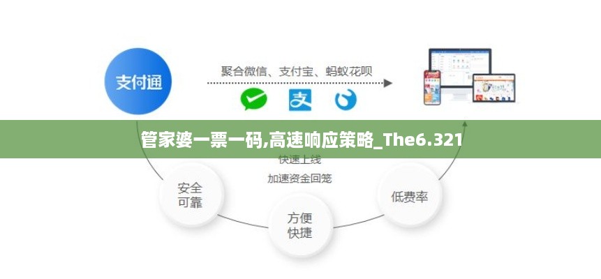 管家婆一票一码,高速响应策略_The6.321