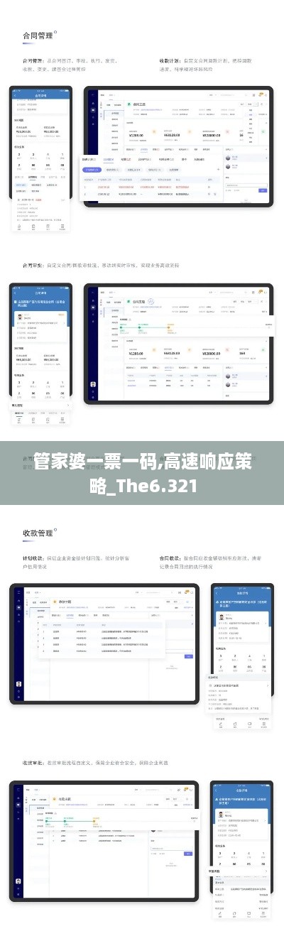 管家婆一票一码,高速响应策略_The6.321