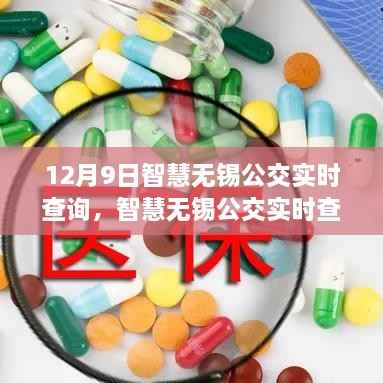 智慧无锡公交实时查询系统评测与介绍,全面解析及功能亮点解析