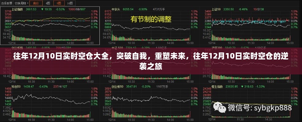 往年12月10日实时空仓重塑未来,逆袭之旅开启