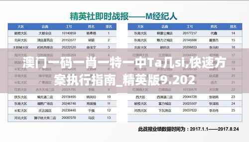 澳门一码一肖一特一中Ta几si,快速方案执行指南_精英版9.202